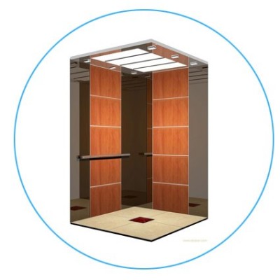 Cheap Price 320kg 4 Persons Small Home Elevator Lift